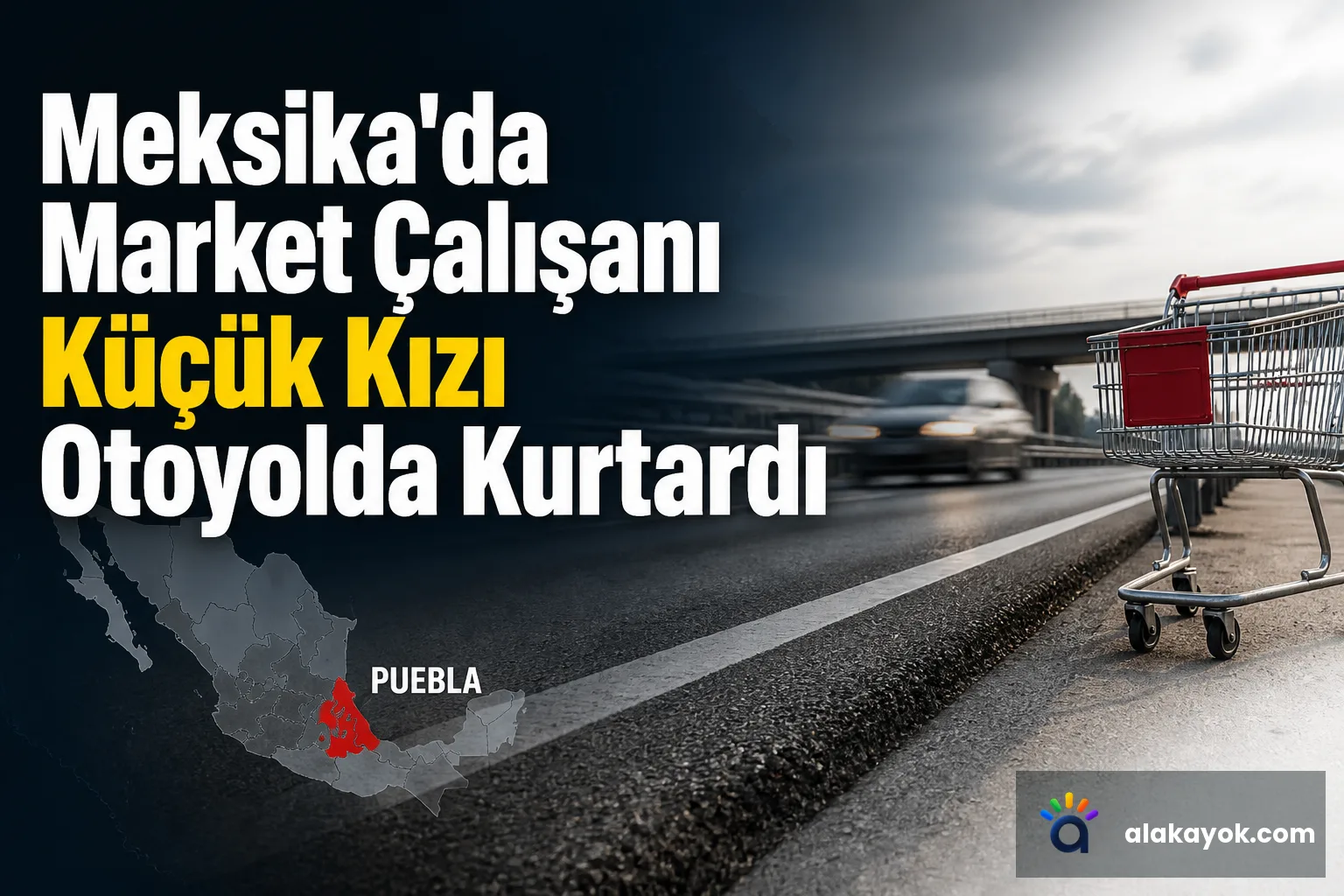 Meksika'da Market Çalışanı Küçük Kızı Otoyolda Kurtardı