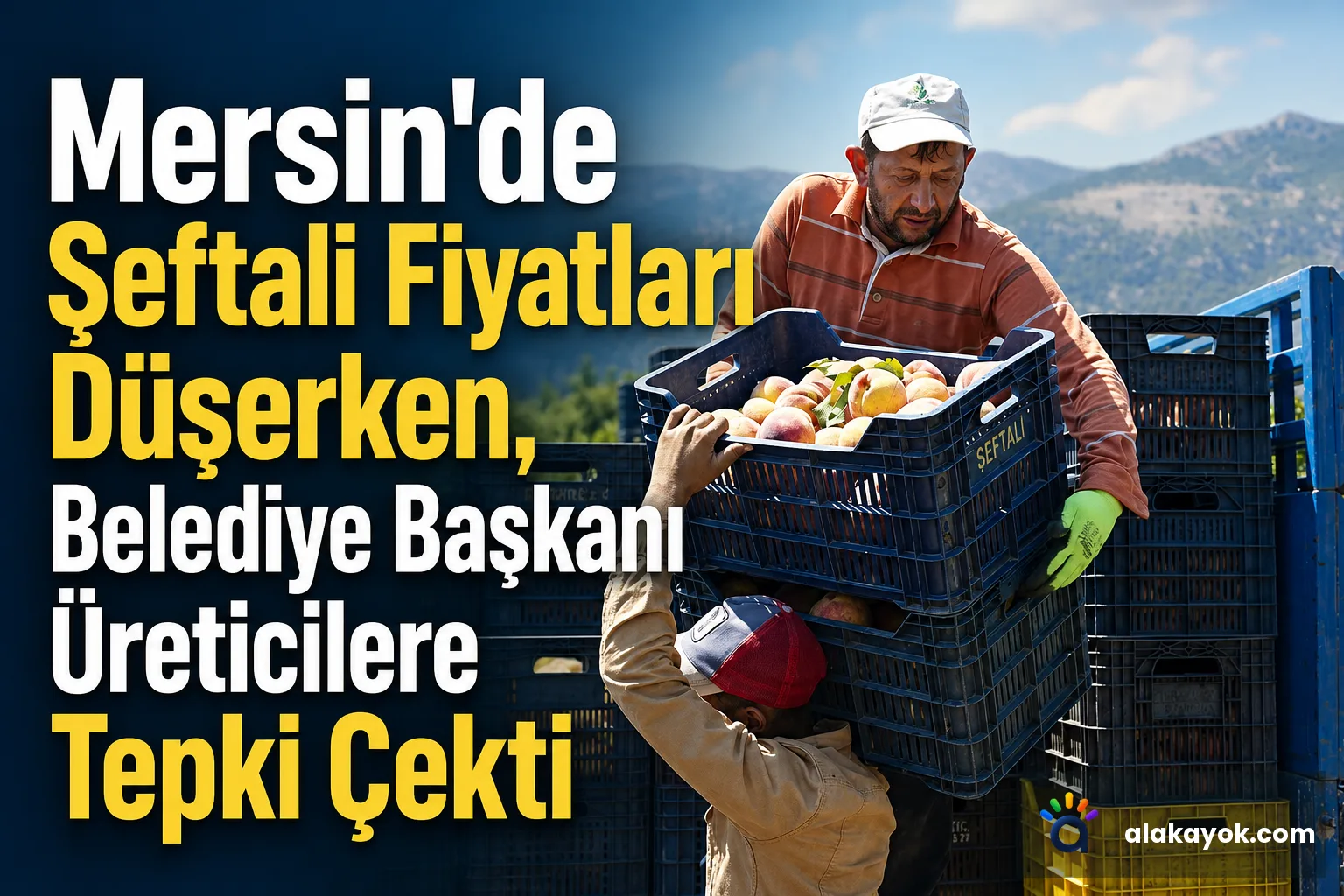 Mersin'de Şeftali Fiyatları Düşerken, Belediye Başkanı Üreticilere Tepki Çekti