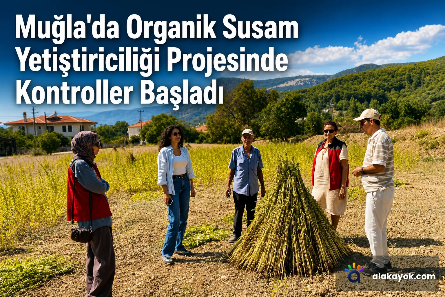 Muğla'da Organik Susam Yetiştiriciliği Projesinde Kontroller Başladı