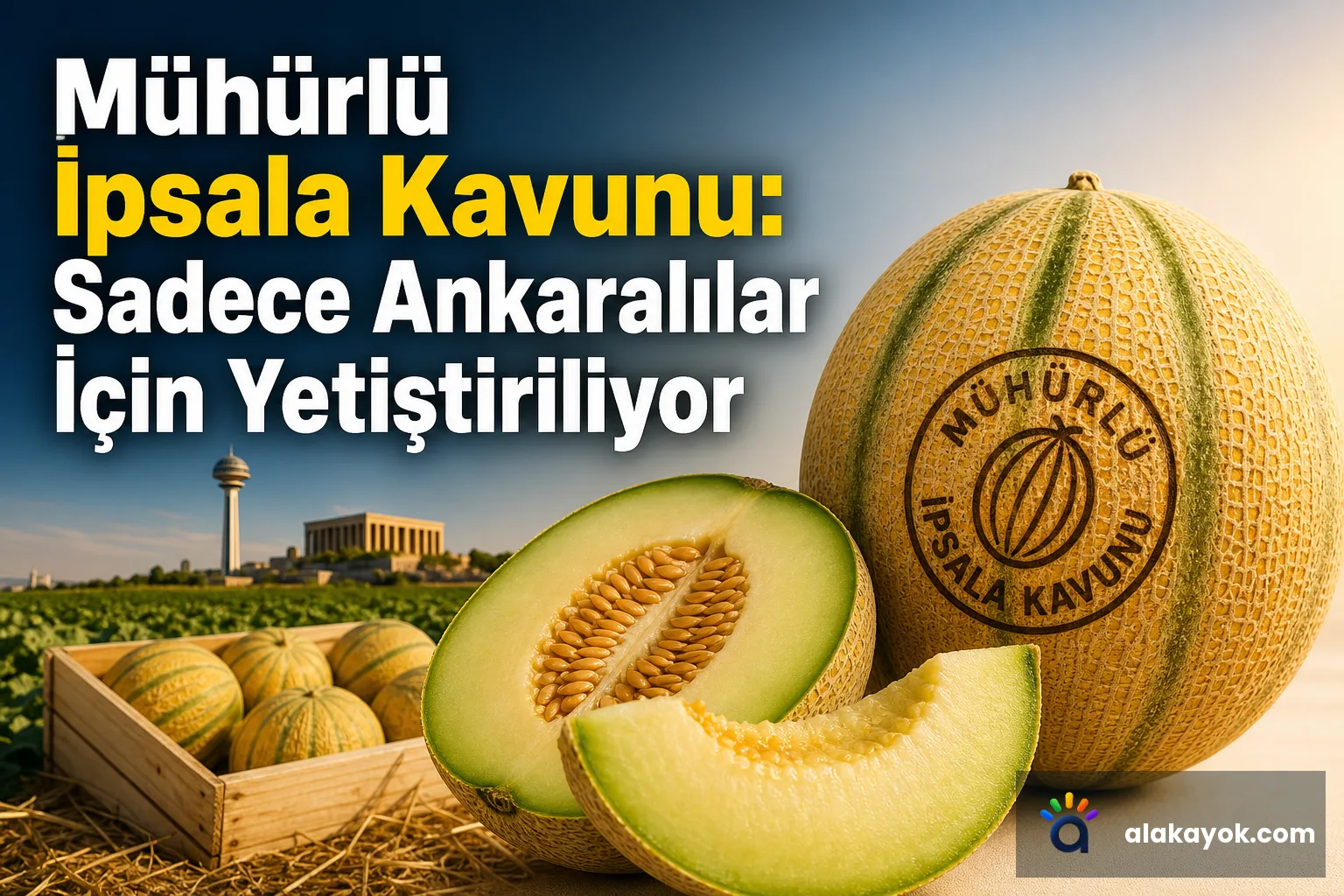 Mühürlü İpsala Kavunu: Sadece Ankaralılar İçin Yetiştiriliyor