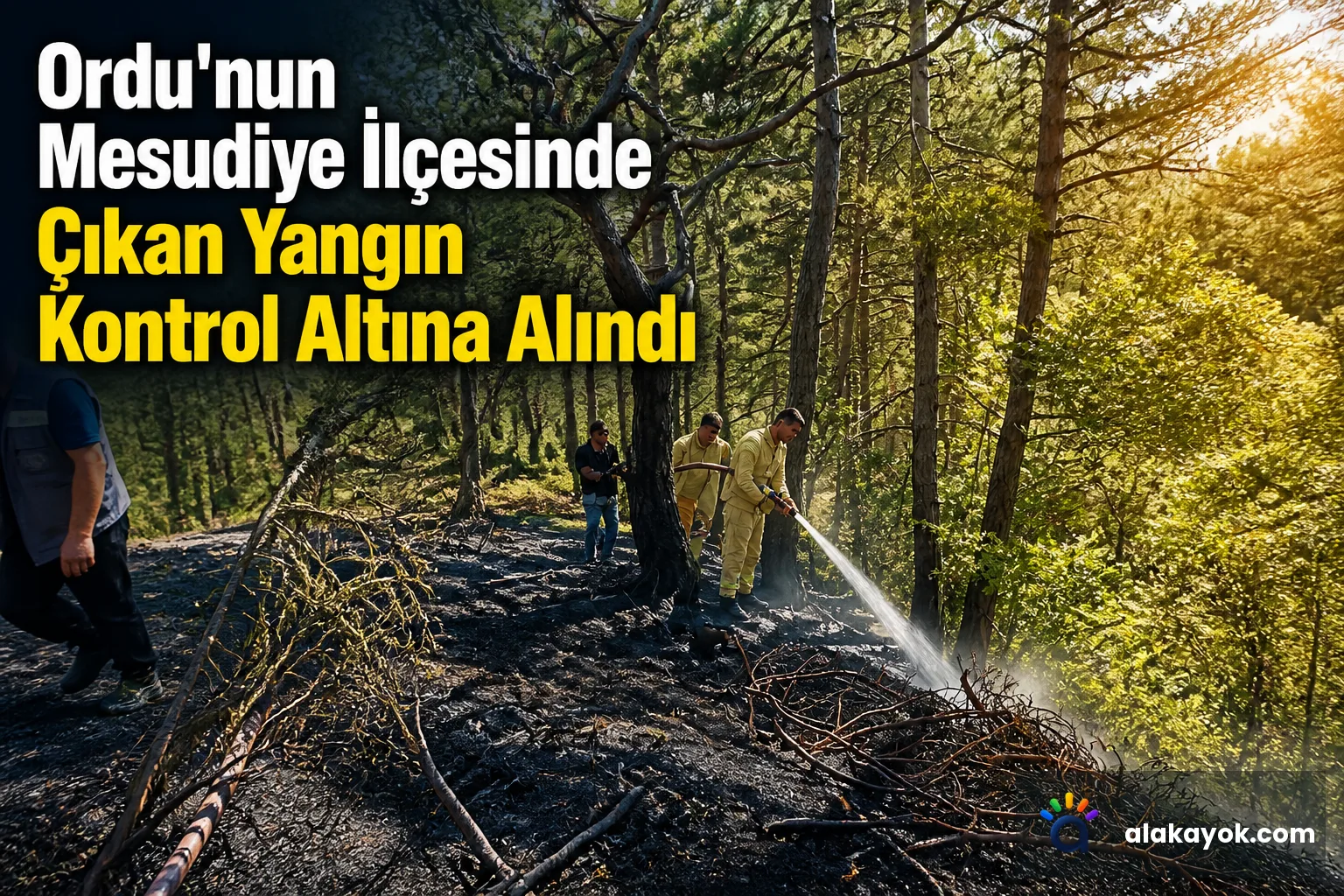 Ordu'nun Mesudiye İlçesinde Çıkan Yangın Kontrol Altına Alındı