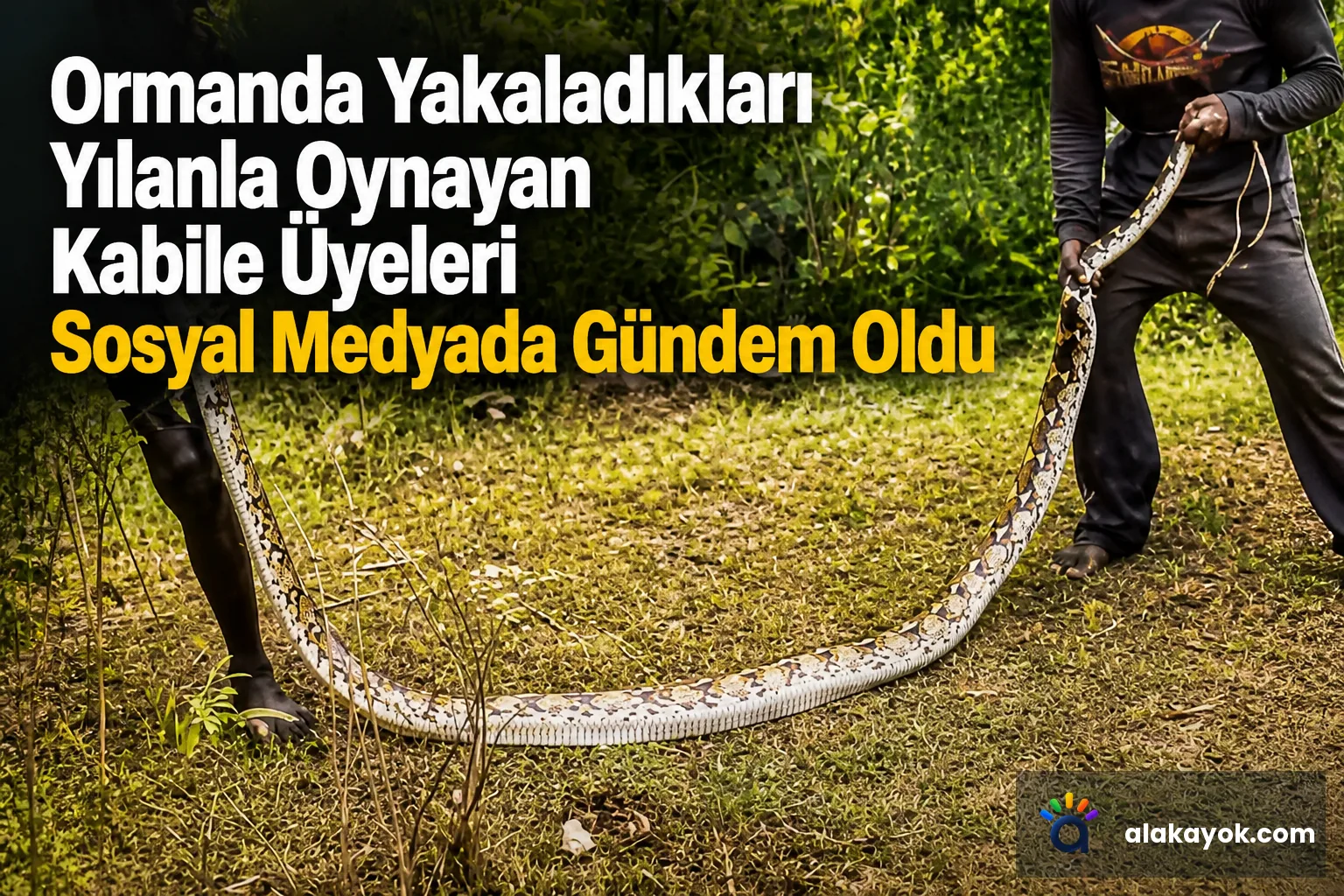 Ormanda Yakaladıkları Yılanla Oynayan Kabile Üyeleri Sosyal Medyada Gündem Oldu