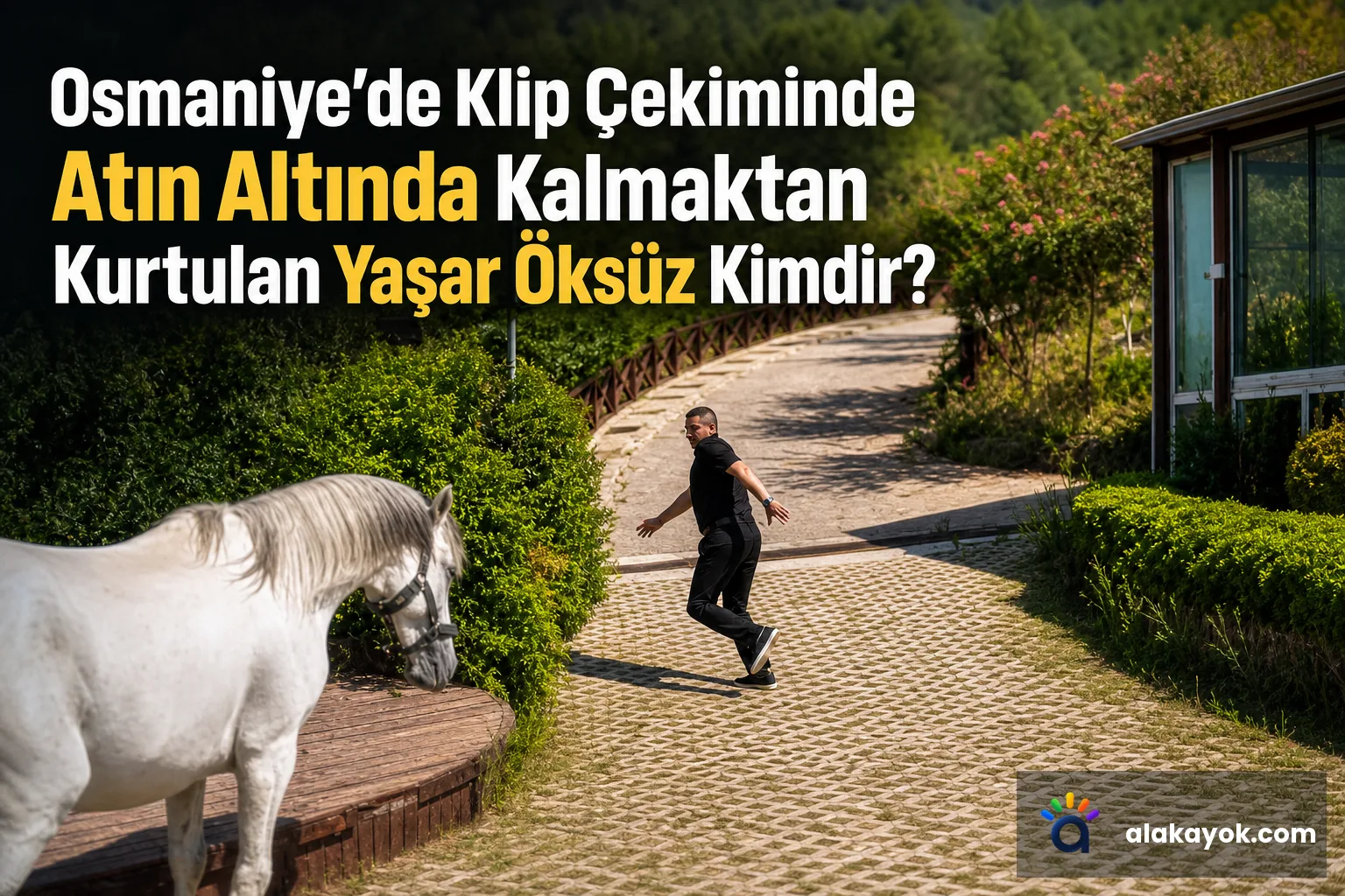 Osmaniye'de Klip Çekiminde Atın Altında Kalmaktan Kurtulan Yaşar Öksüz Kimdir?