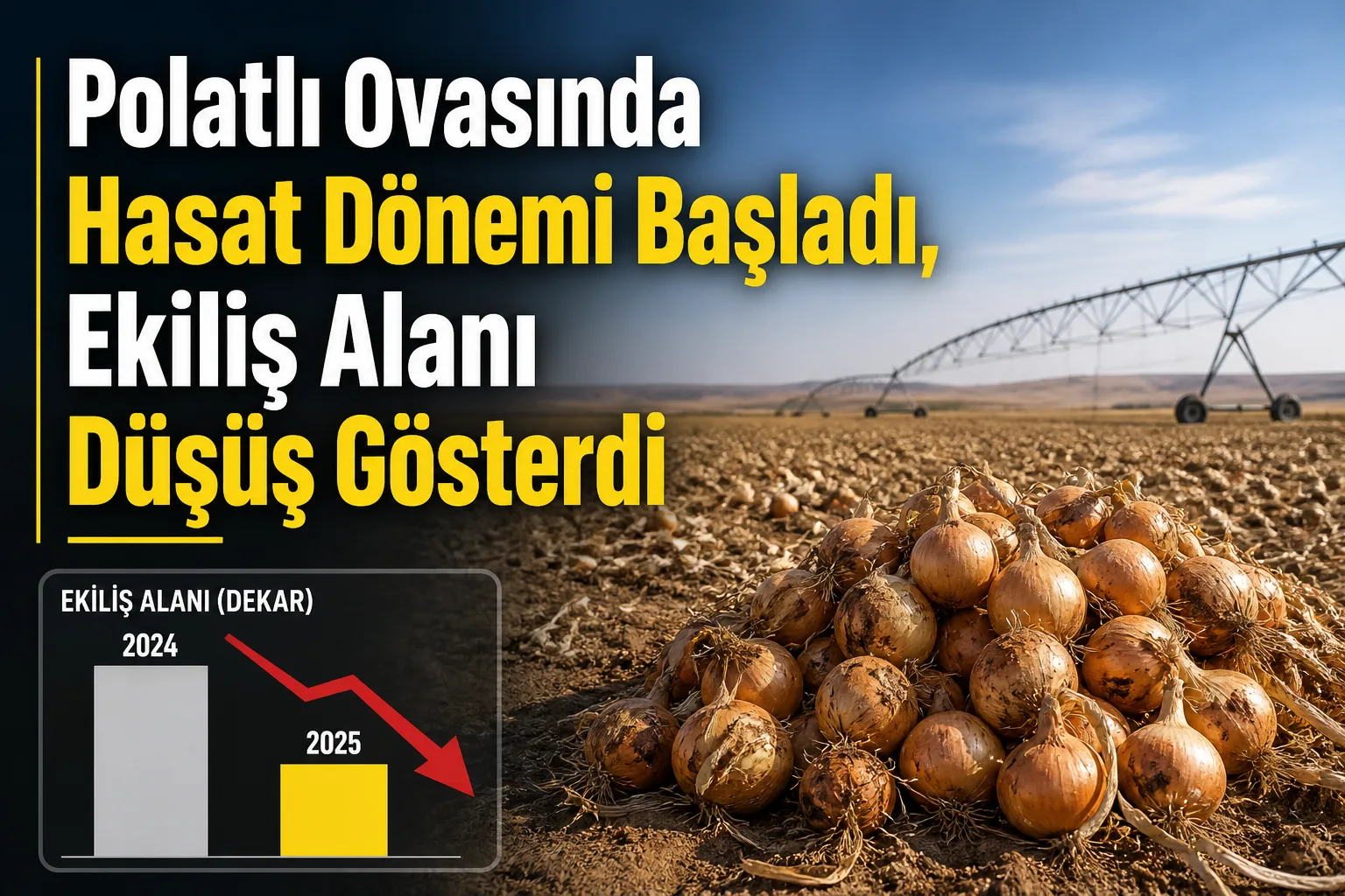 Polatlı Ovasında Hasat Dönemi Başladı, Ekiliş Alanı Düşüş Gösterdi