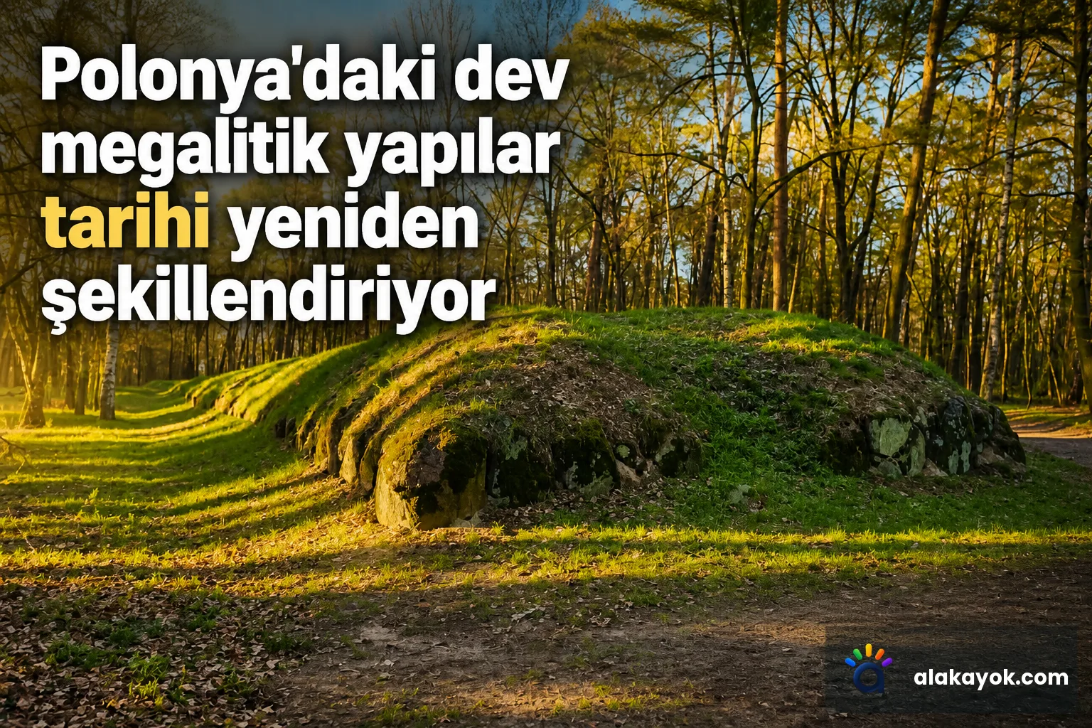Polonya'daki dev megalitik yapılar tarihi yeniden şekillendiriyor