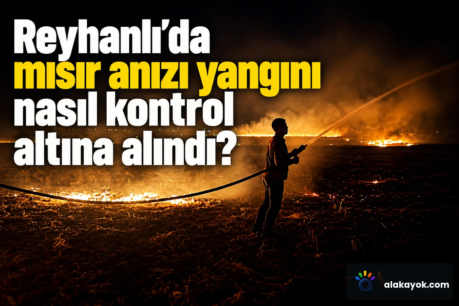 Reyhanlı'da mısır anızı yangını nasıl kontrol altına alındı?