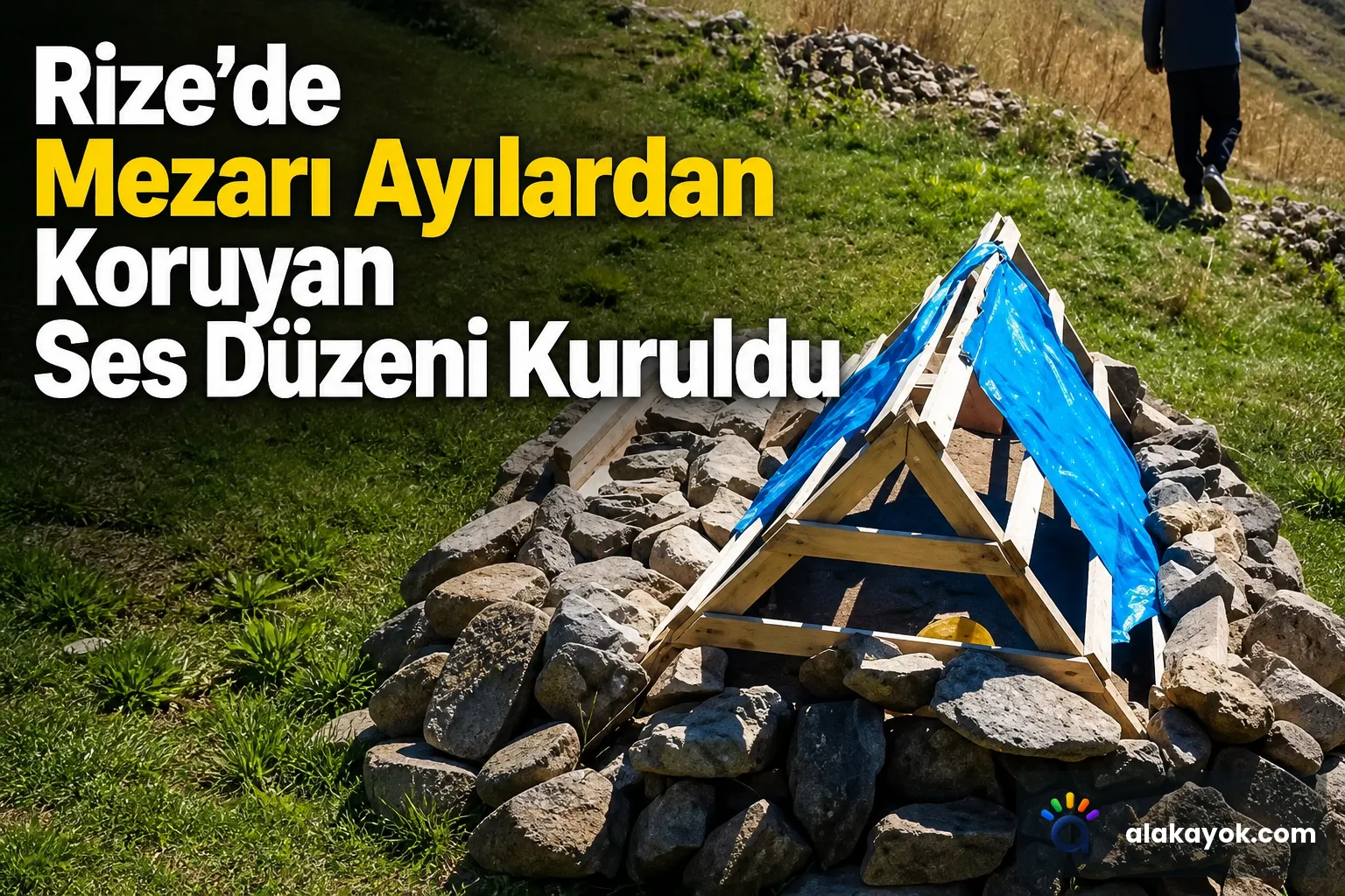 Rize'de Mezarı Ayılardan Koruyan Ses Düzeni Kuruldu