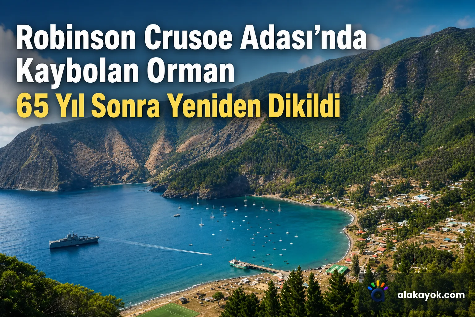 Robinson Crusoe Adası'nda Kaybolan Orman 65 Yıl Sonra Yeniden Dikildi