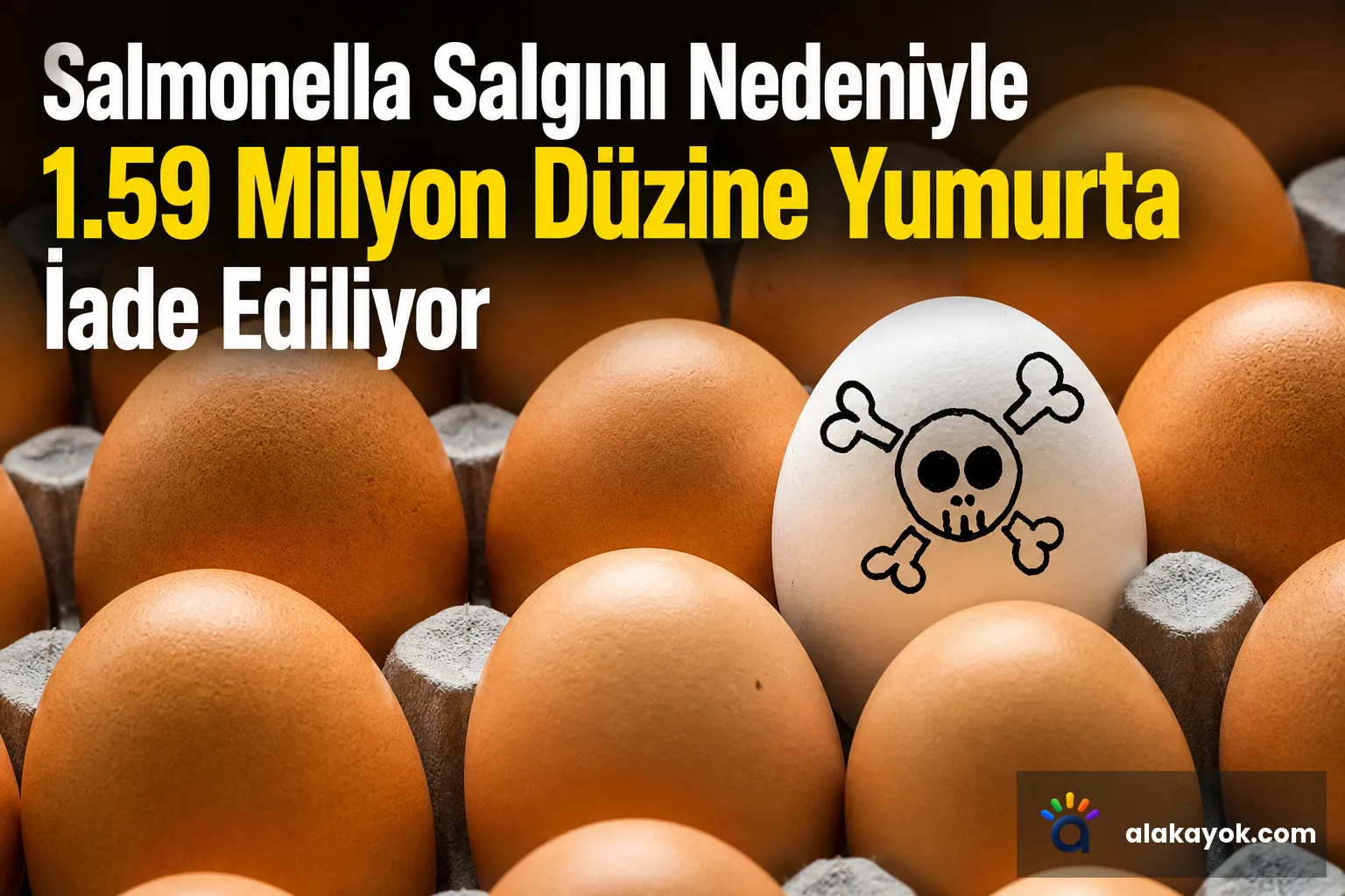 Salmonella Salgını Nedeniyle 1.59 Milyon Düzine Yumurta İade Ediliyor
