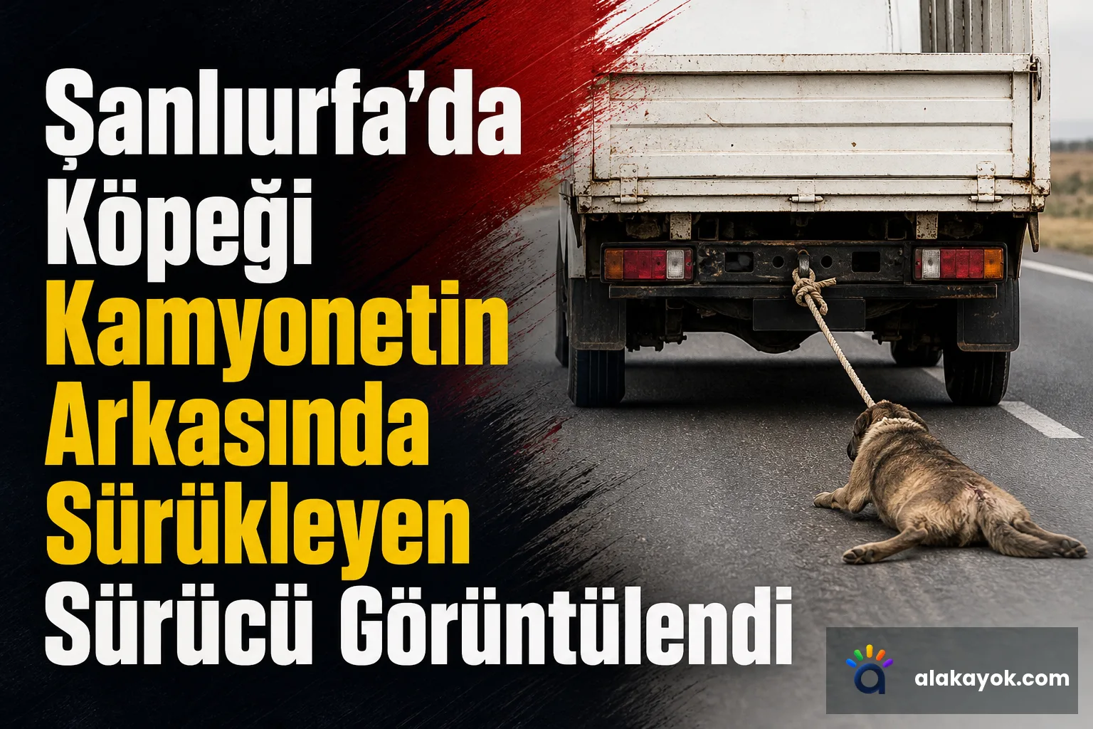 Şanlıurfa'da Köpeği Kamyonetin Arkasında Sürükleyen Sürücü Görüntülendi