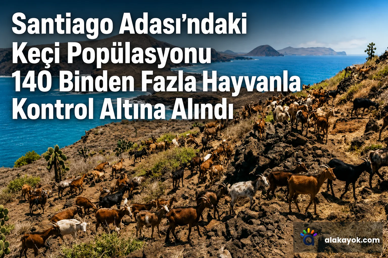 Santiago Adası'ndaki Keçi Popülasyonu 140 Binden Fazla Hayvanla Kontrol Altına Alındı