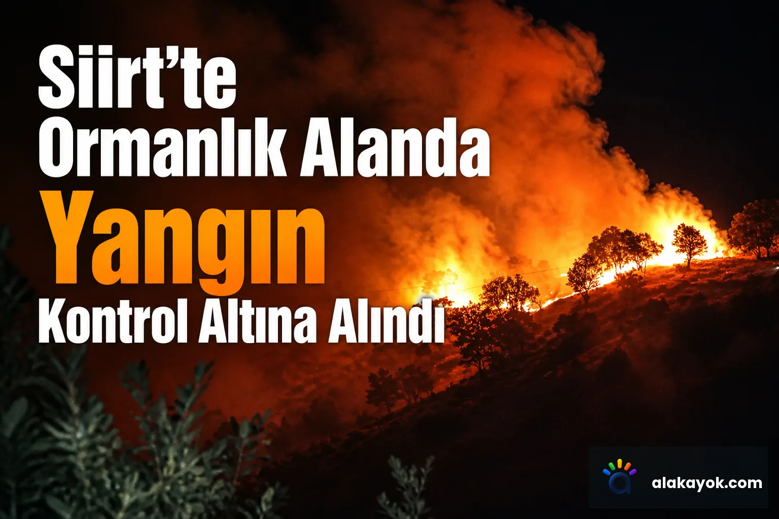 Siirt'te Ormanlık Alanda Yangın Kontrol Altına Alındı