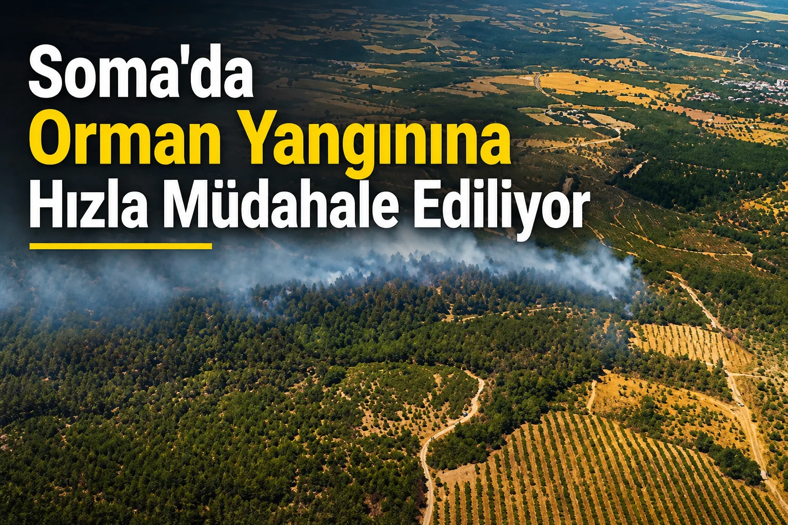 Soma'da Orman Yangınına Hızla Müdahale Ediliyor