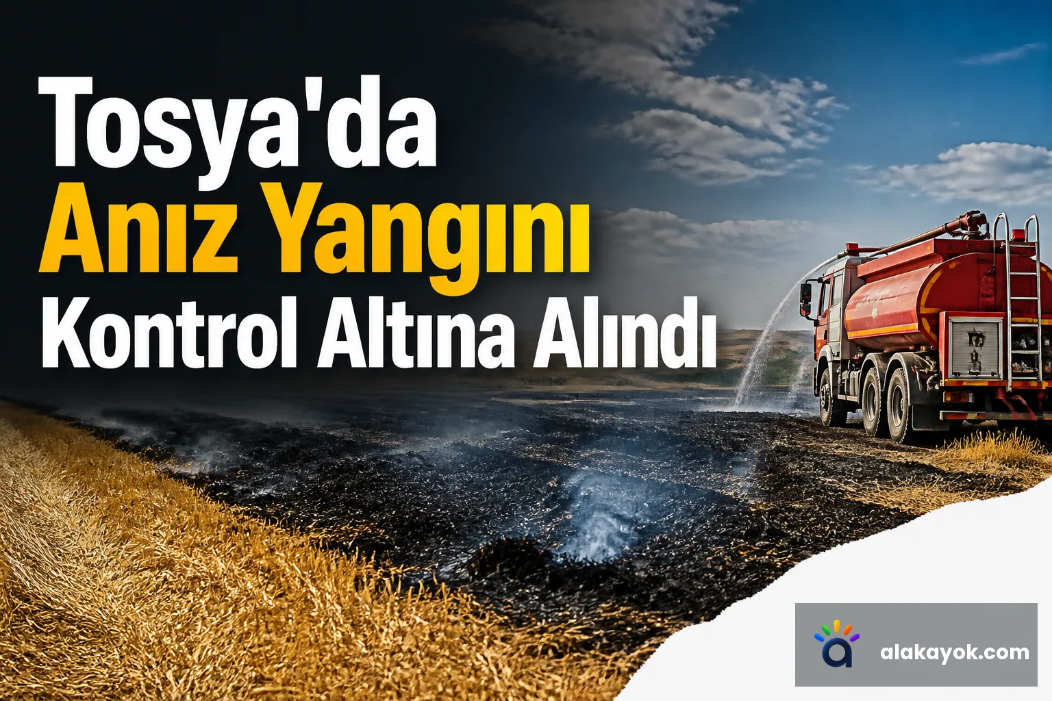 Tosya'da Anız Yangını Kontrol Altına Alındı