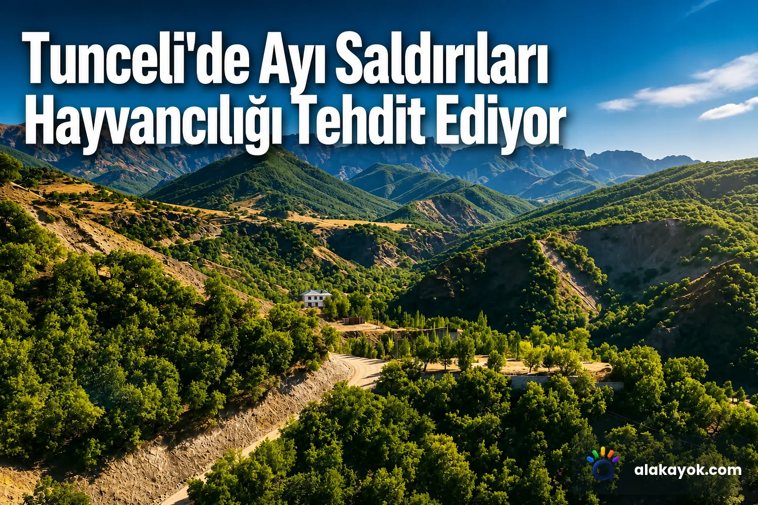 Tunceli'de Ayı Saldırıları Hayvancılığı Tehdit Ediyor