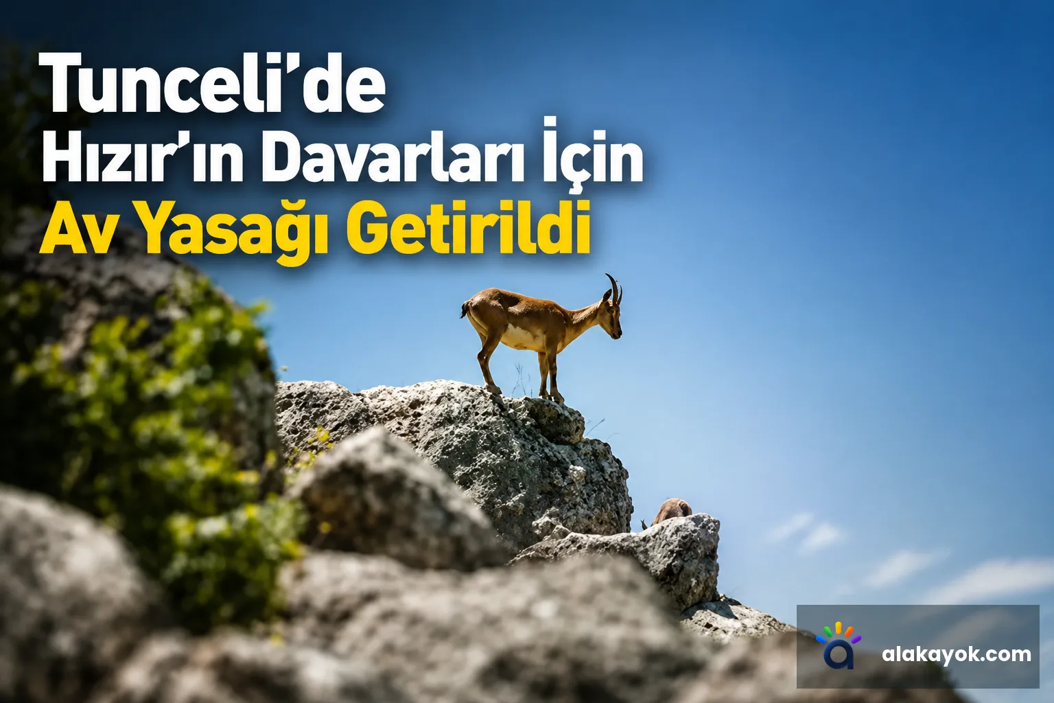 Tunceli'de Hızır'ın Davarları İçin Av Yasağı Getirildi
