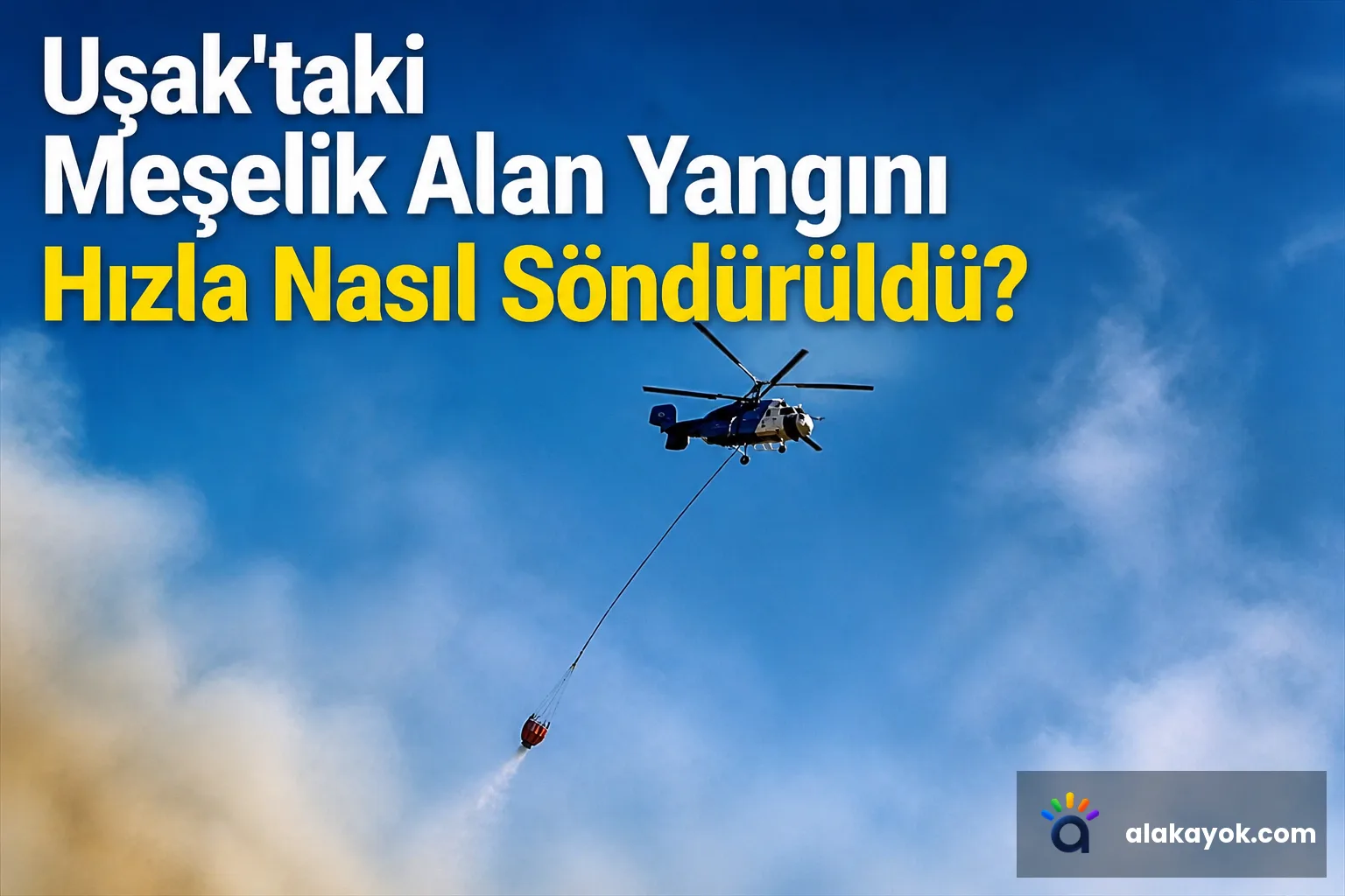 Uşak'taki Meşelik Alan Yangını Hızla Nasıl Söndürüldü?