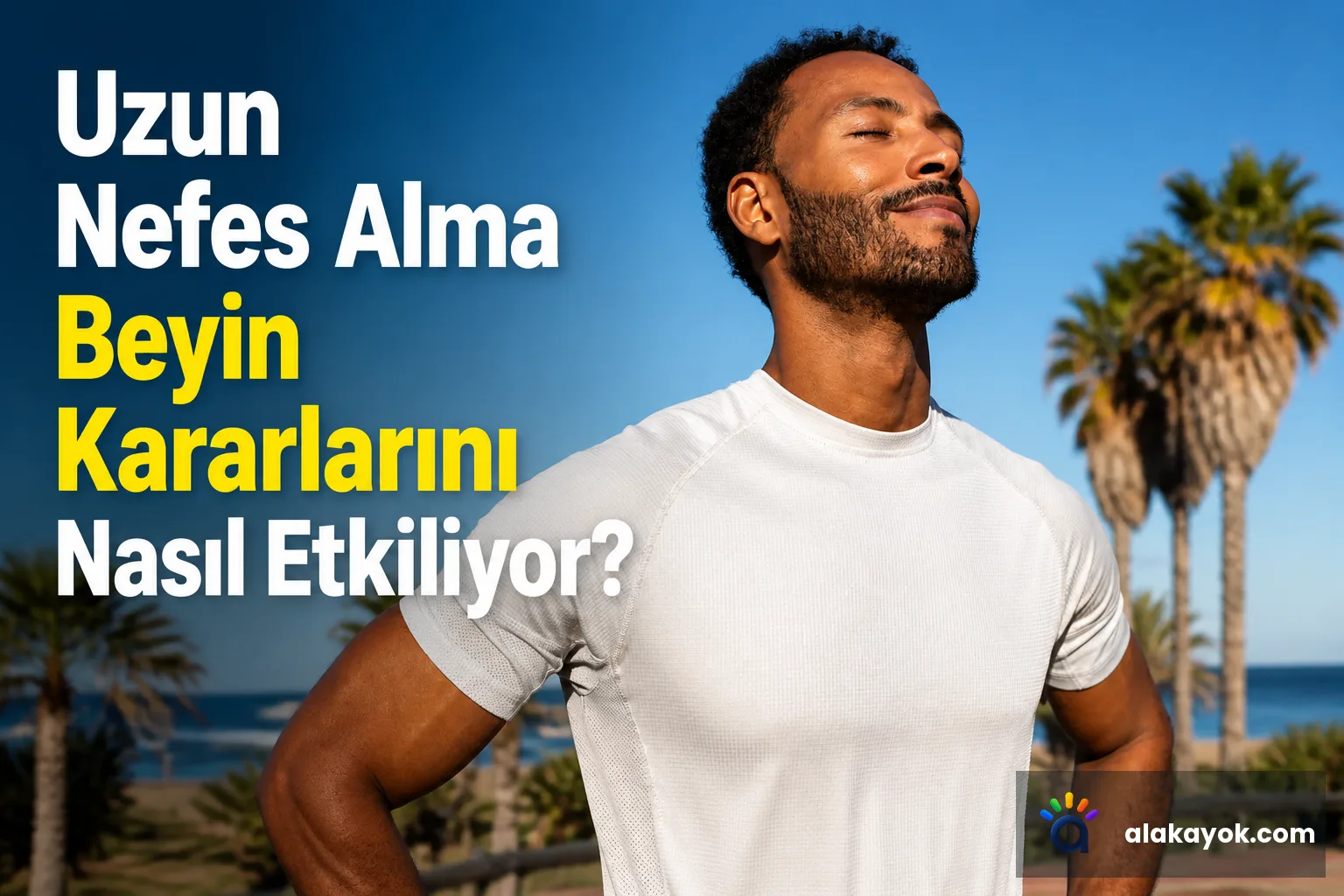 Uzun Nefes Alma Beyin Kararlarını Nasıl Etkiliyor?