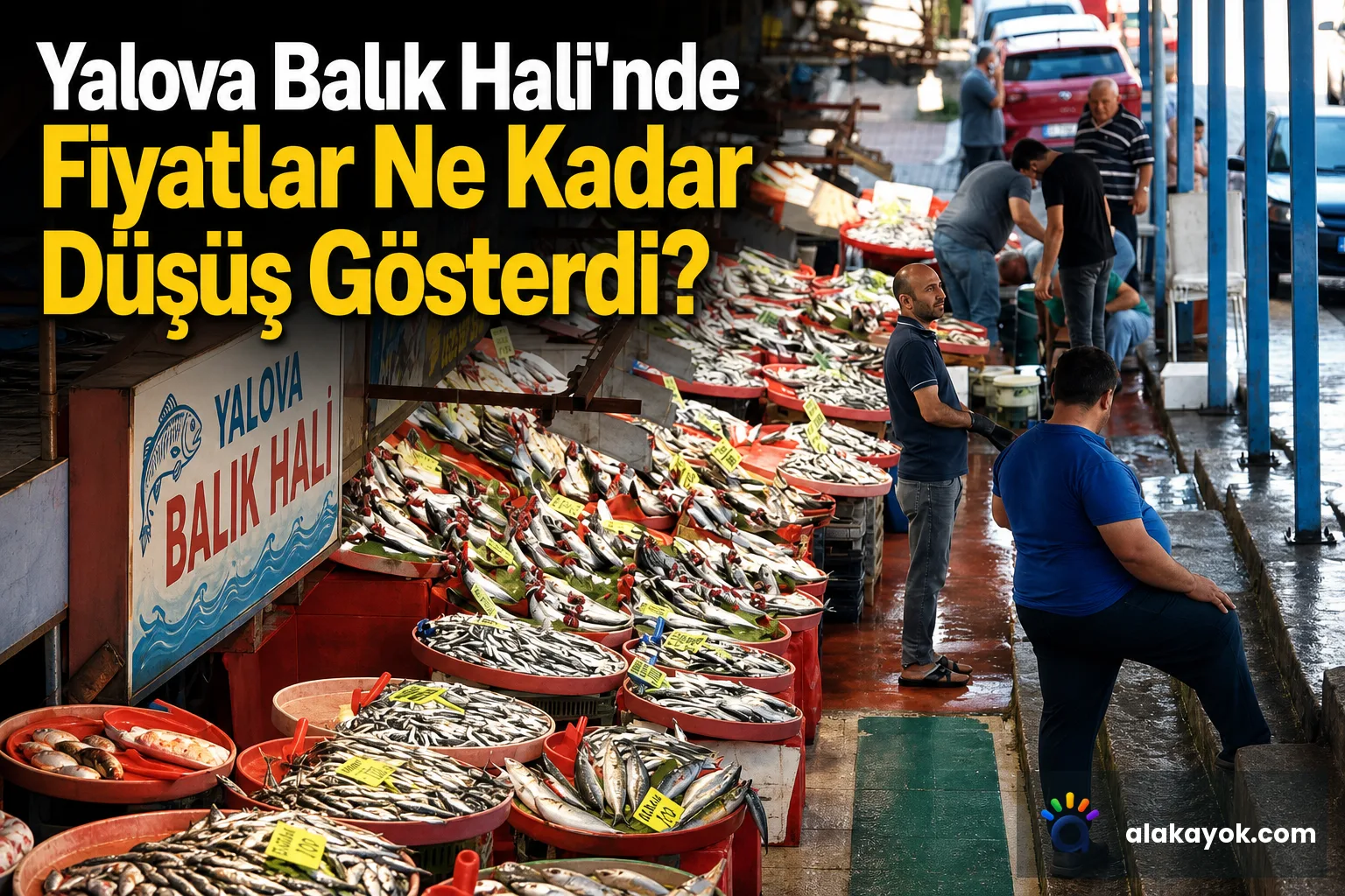 Yalova Balık Hali'nde Fiyatlar Ne Kadar Düşüş Gösterdi?