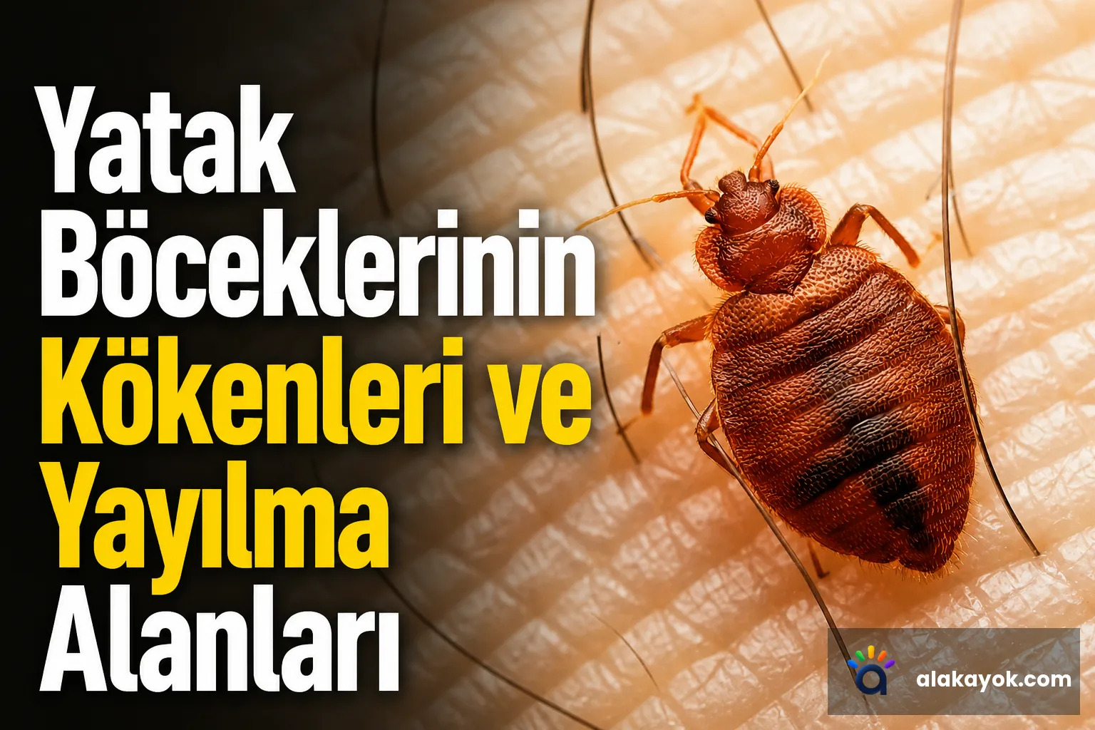 Yatak Böceklerinin Kökenleri ve Yayılma Alanları