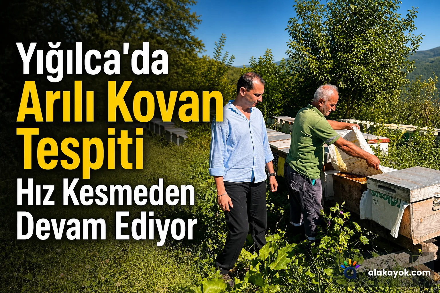 Yığılca'da Arılı Kovan Tespiti Hız Kesmeden Devam Ediyor