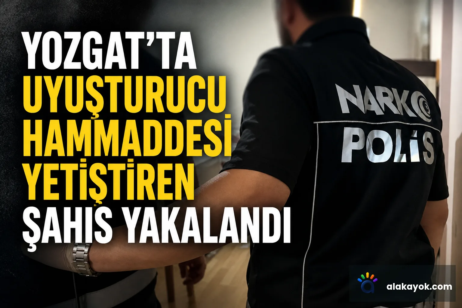 Yozgat'ta Uyuşturucu Hammaddesi Yetiştiren Şahıs Yakalandı