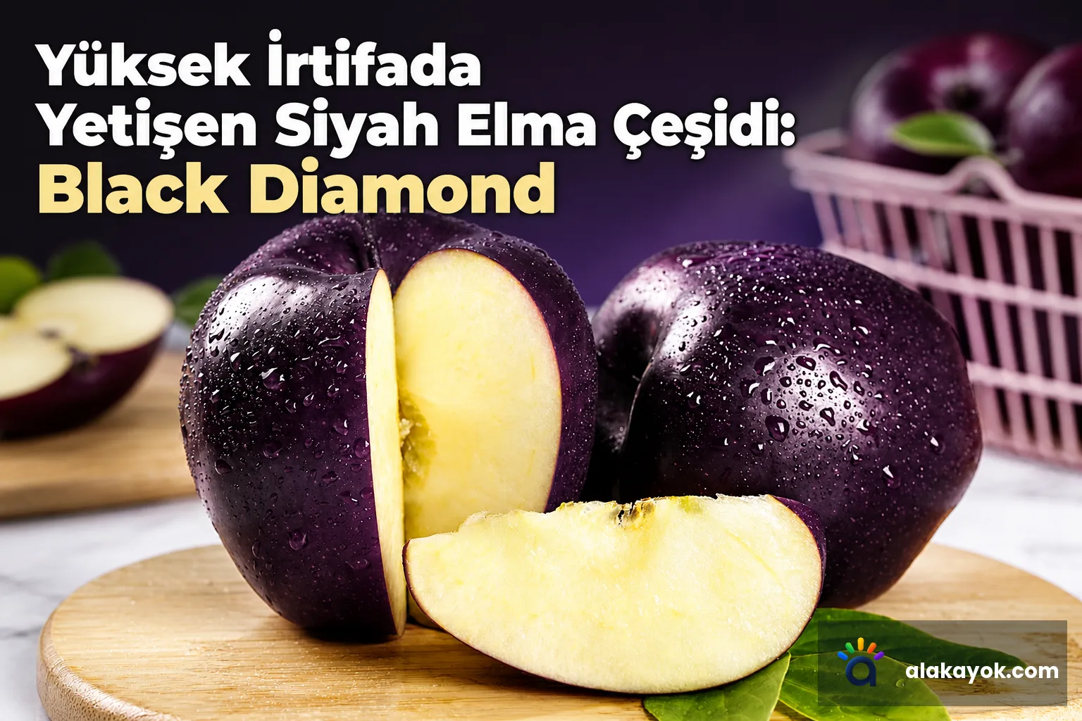 Yüksek İrtifada Yetişen Siyah Elma Çeşidi: Black Diamond