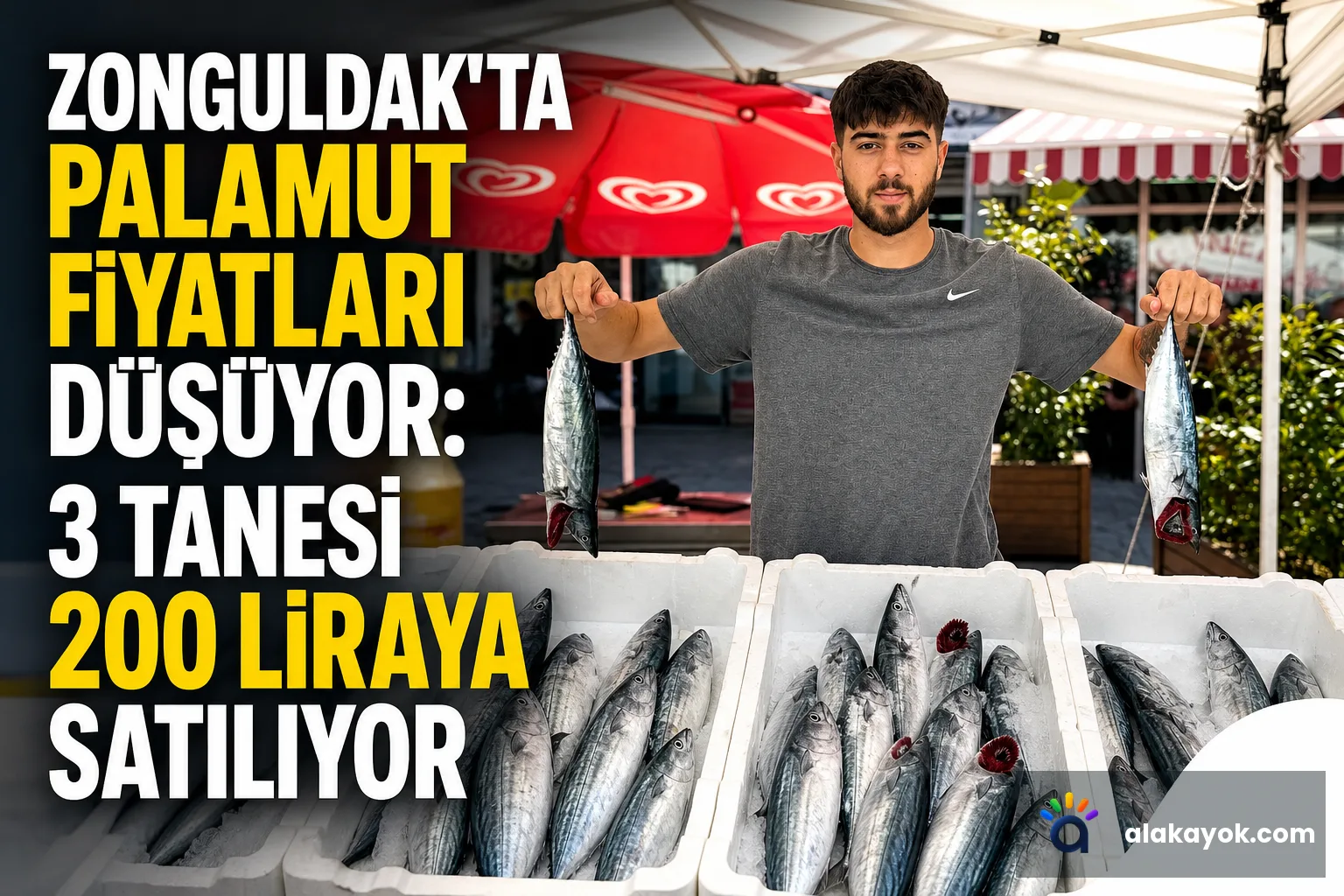 Zonguldak'ta Palamut Fiyatları Düşüyor: 3 Tanesi 200 Liraya Satılıyor